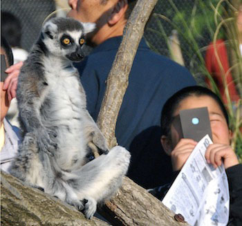 News photo
