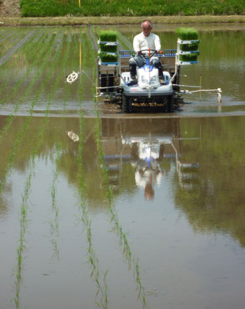 News photo