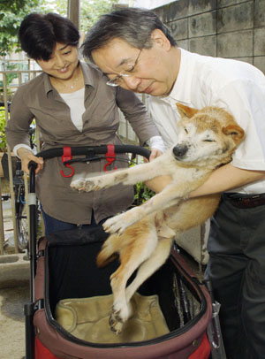 News photo