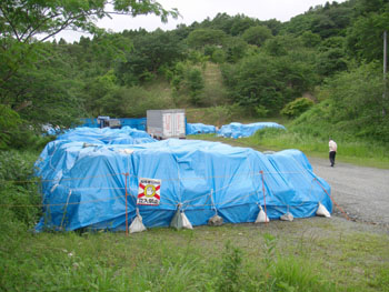 News photo
