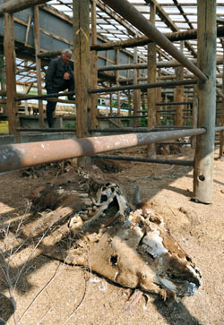 News photo