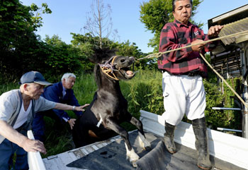 News photo