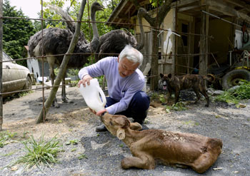 News photo