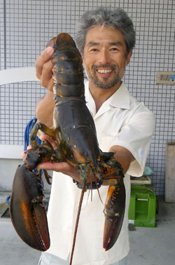News photo