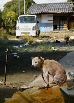 News photo