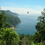 Hawk's view of the Hotokegaura coastline, Shimokita Peninsula, Aomori Pref.