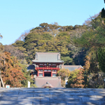 Tsurugaoka Hachimangu shrine, Kamakura, Kanagawa Pref.
