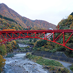 Train on the bridge in autumn, Kurobe, Toyama Pref.