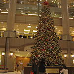 Christmas tree in Landmark Tower, Yokohama