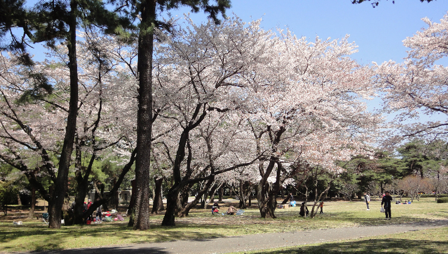 Spring, city park, Beppu, Oita Pref.