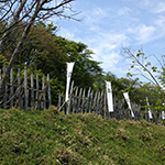 <i>Babosaku</i>, Sekigahara, Gifu Pref.
