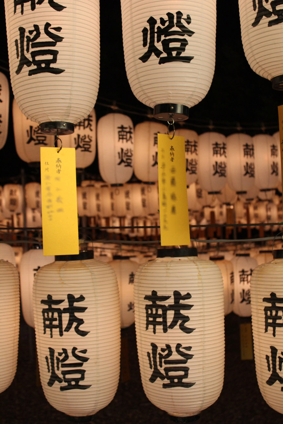 Lanterns at a shrine during <i>O-bon</i>, Hikone, Shiga Pref.