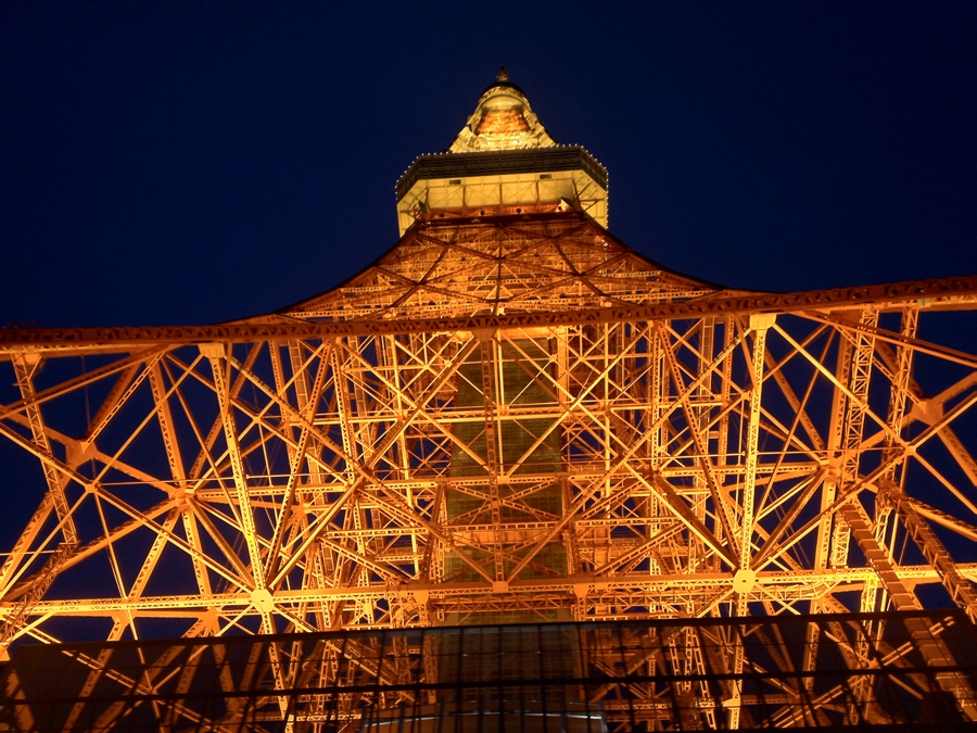 The lights of the Tokyo Tower