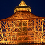 The lights of the Tokyo Tower