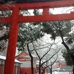 Snow falls on Valentinefs Day, Hanazono Shrine, Tokyo