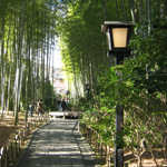 Narrow path in bamboo forest, Shuzenji Spa, Shizuoka Pref.