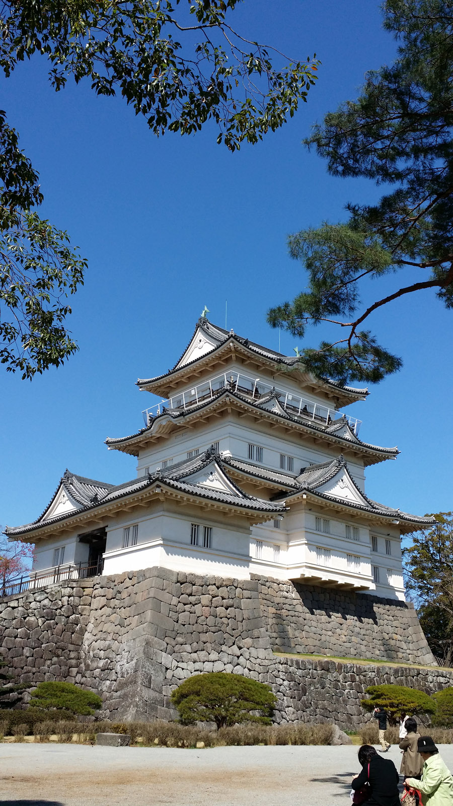 White beauty, Odawara Castle, Kanagawa Pref.