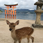 A perfect day on Miyajima Island, Hiroshima Pref.