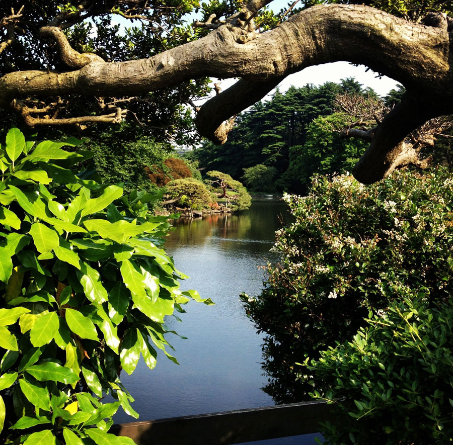 Shinjuku Gyoen National Garden, Tokyo