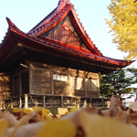 Magnificent autumn at Shonai Shrine, Tsuruoka, Yamagata Pref.