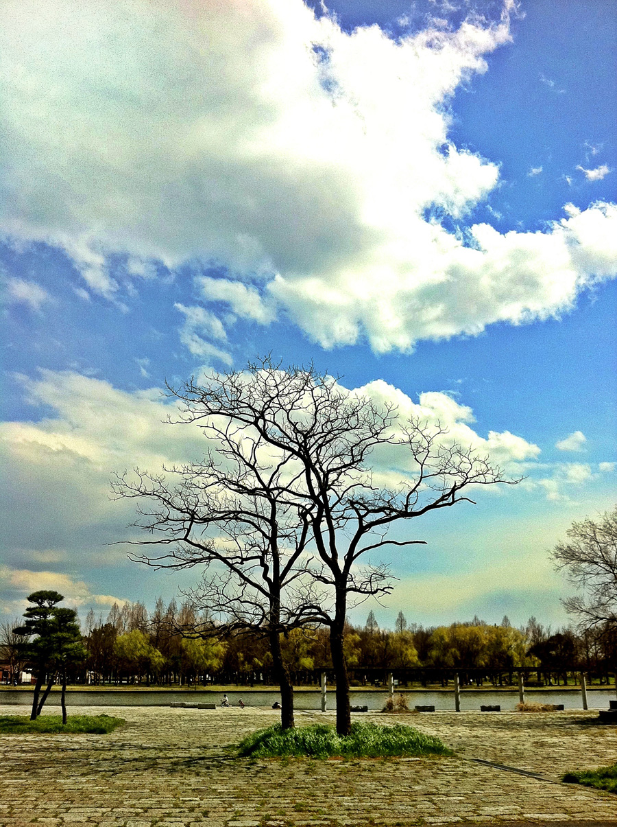 Waiting for spring, Mizumoto Park, Tokyo