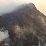 Gas rises from active sulphur vents in Owakudani, Hakone, Kanagawa Pref.