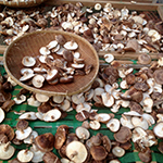 Shiitake mushrooms at a roadside shop, Saitama Pref.