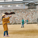A falconer, Kanazawa Castle, Ishikawa Pref.
