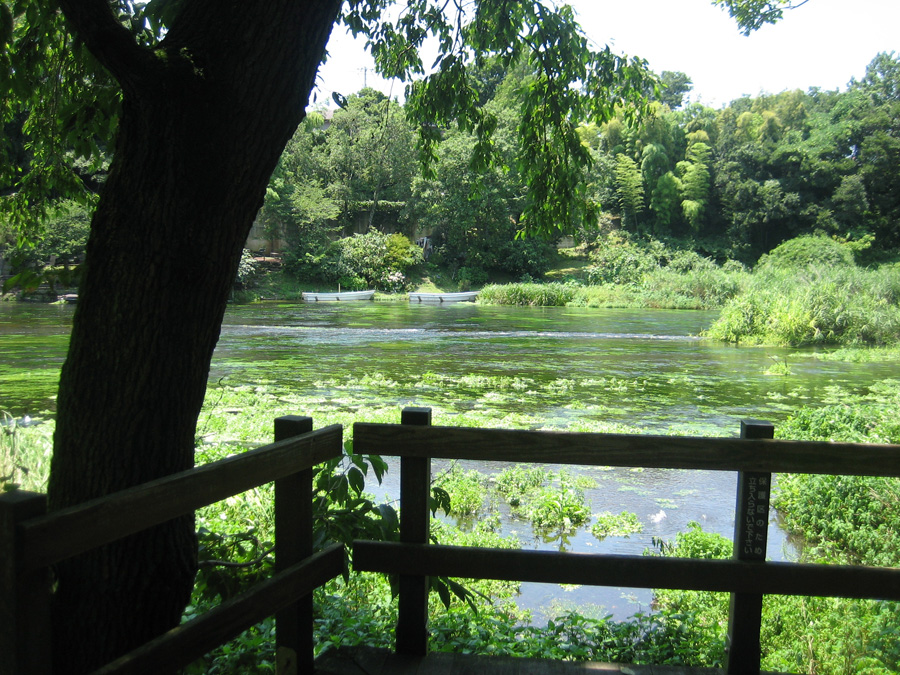 Limpid stream of the Kakita River, Shimizu-cho, Shizuoka Pref.