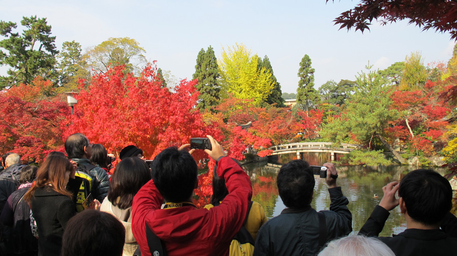 Beautiful autumn leaves in Eikando Zenrinji, Kyoto