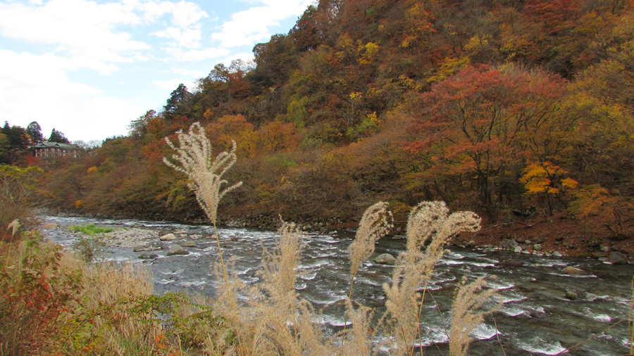 Mesmerising autumn colors, Nikko, Tochigi Pref.