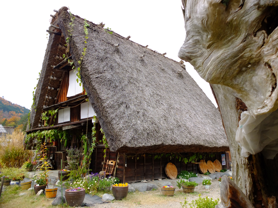 Ogimachi Gassho-style house in Shirakawa-go, Gifu Pref.