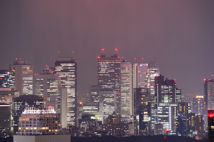 Shinjuku night view from Yebisu Garden Place, Tokyo