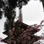 Oishi Jinja Shrine, Nishinoyama Sakuranobabacho, Kyoto