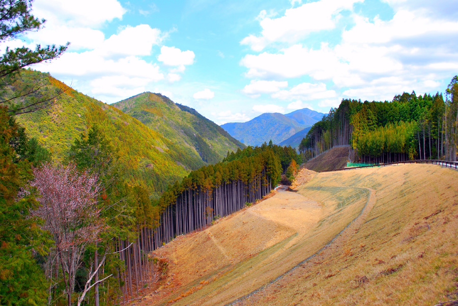 Contrasting scenery across the Kii mountain range above Kumano Hongu Taisha, Wakayama Pref.