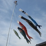 <i>Koinobori</i> (carp-shaped streamers) swimming in the air