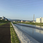 A newly built walking path runs along the Kamo River, Kyoto