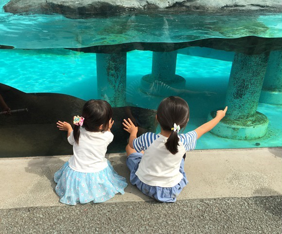 Children watch a seal swim past them at the Osaka Aquarium Kaiyukan