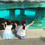 Children watch a seal swim past them at the Osaka Aquarium Kaiyukan