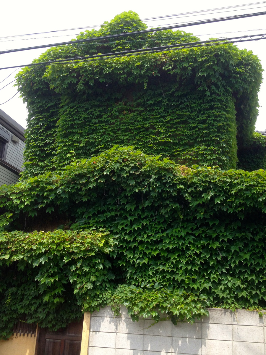 Green house, Toshima, Tokyo