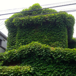 Green house, Toshima, Tokyo
