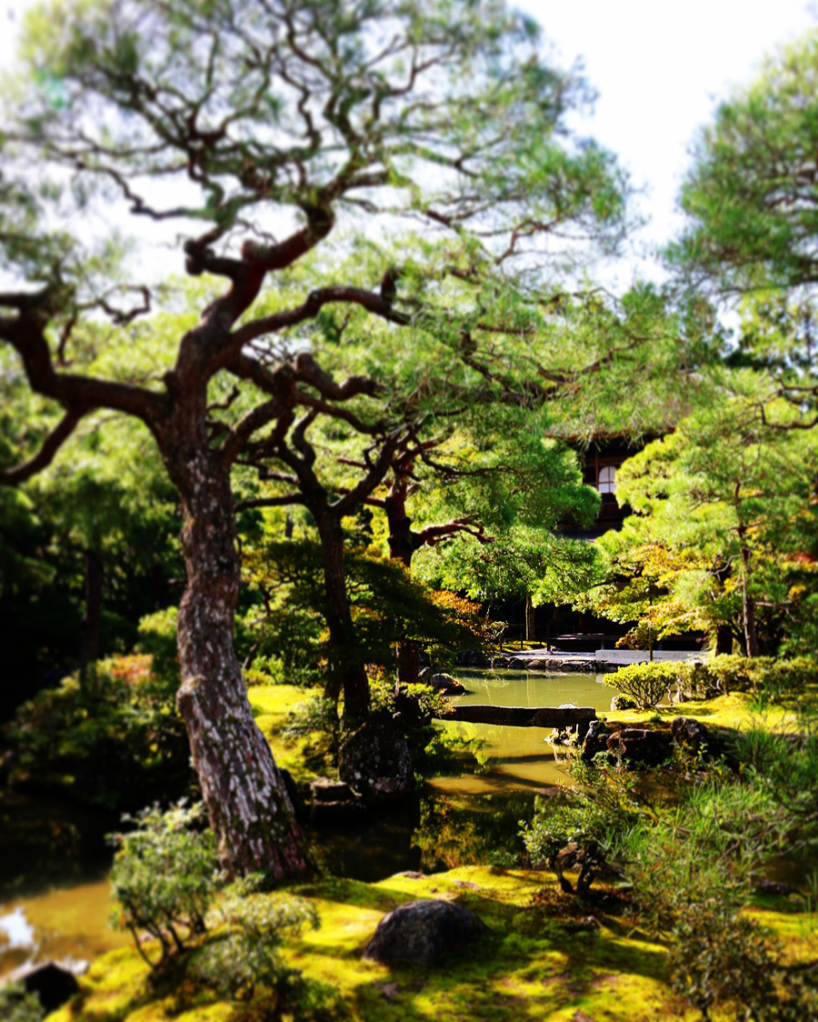 The beauty of Japanese gardens, Kyoto