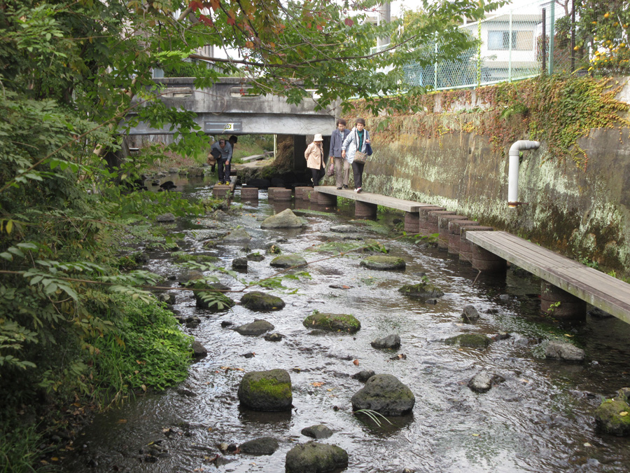 Genbee River is a world legacy for watering facilities, Mishima, Shizuoka Pref.