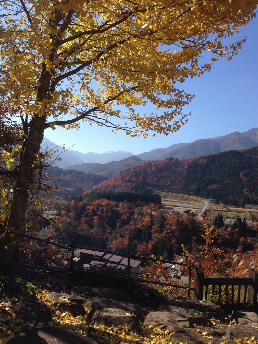 Beautiful fall colors overlooking Shirakawa-go valley and hills, Gifu Pref.