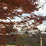 Autumn at Kanazawa Castle, Ishikawa Pref.