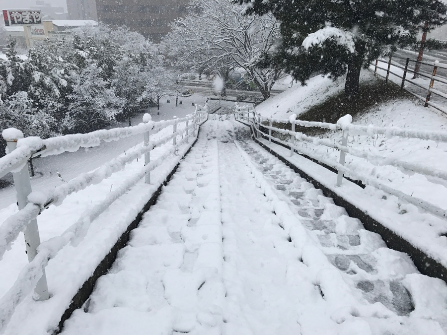Winter is here, Kanazawa, Ishikawa Pref.