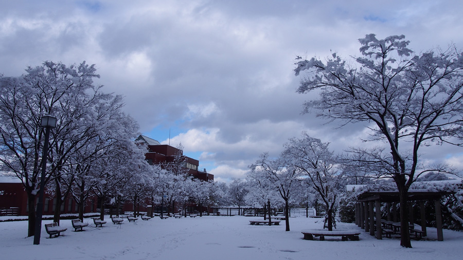 After snowfall on campus, Kanazawa, Ishikawa Pref.