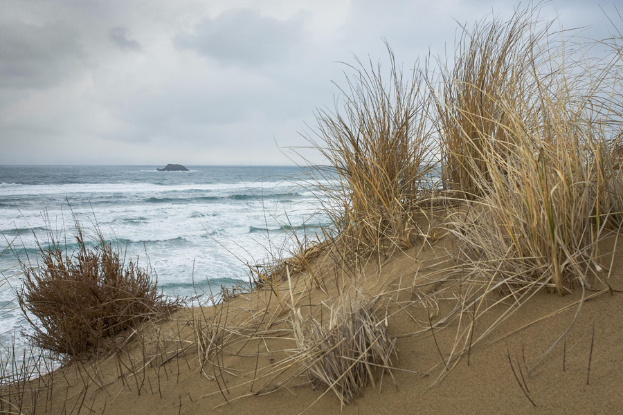 A stormy Japan Sea from the sand dunes, Tottori Pref.