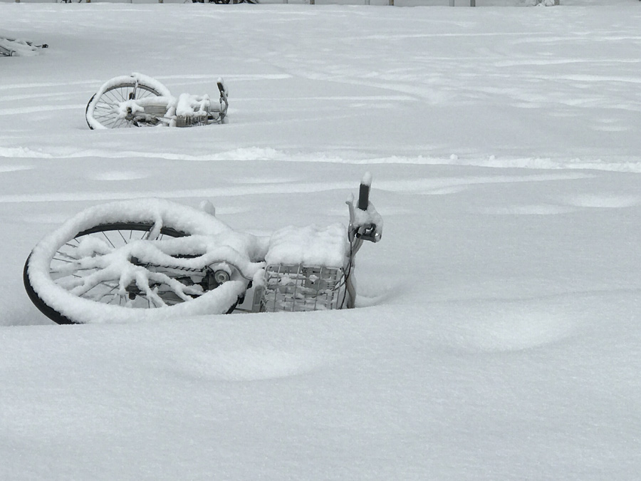 When snow meet bicycles, Kanazawa University, Ishikawa Pref.