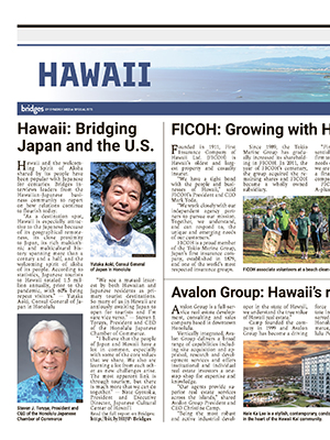 Bridges by Synergy Media Specialists: Hawaii (Jul. 4, 2022)